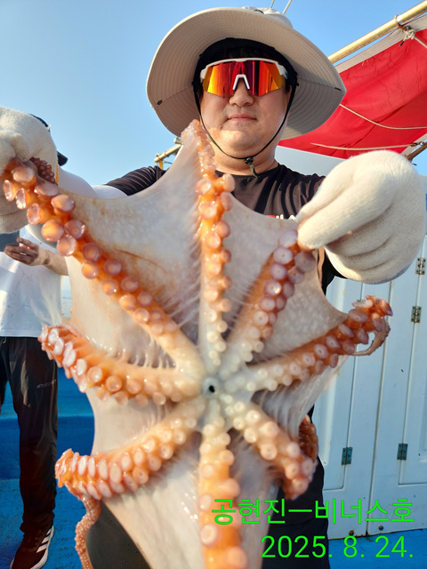 21인승 비너스호 문어조황 8/24