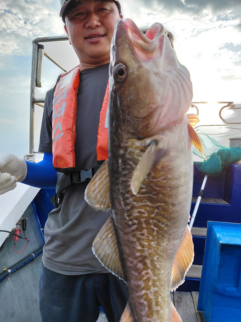 성복호 왕대구조황