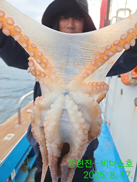 21인승 비너스호 문어조황