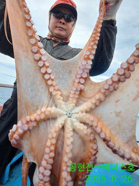 21인승 비너스호 대왕문어대박