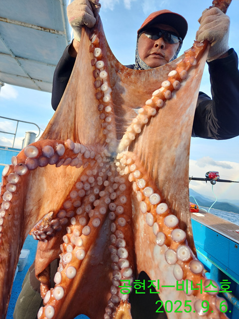 21인승 비너스호 왕문어조황