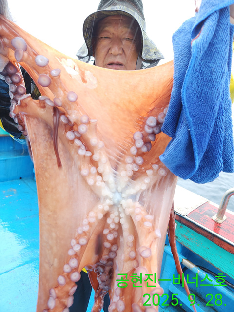 21인승 비너스호 문어조황 9/28