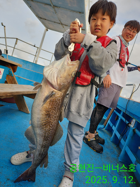21인승 비너스호 대구조황 9/12