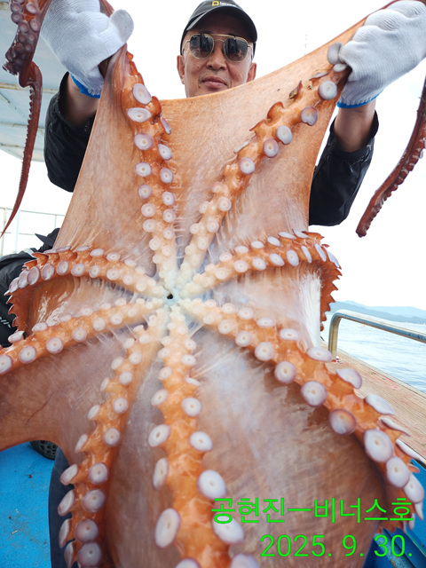 21인승 비너스호 대왕문어조황 9/30