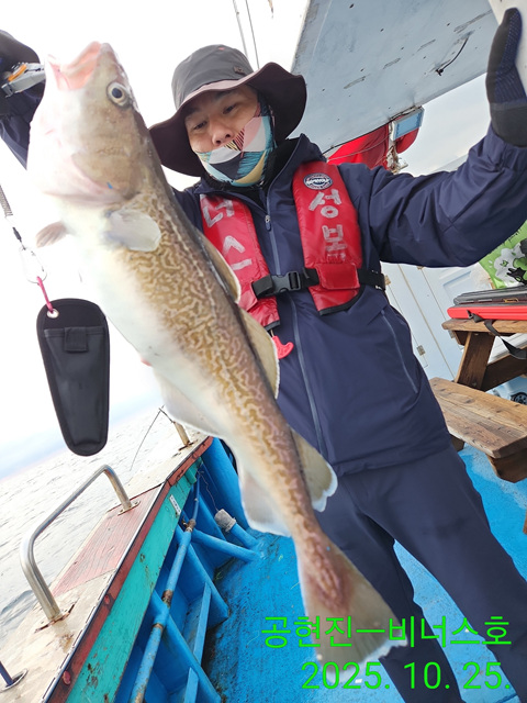 21인승 비너스호 왕대구조황 10/25