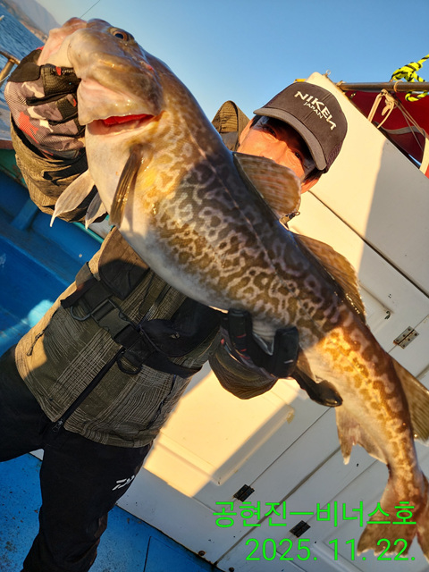 21인승 비너스호 왕대구조황