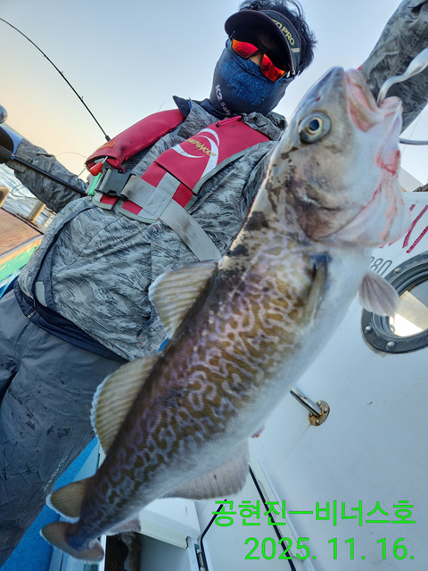 21인승 비너스호 왕대구조황 11/16