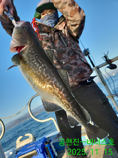 21인승 비너스호 왕대구조황