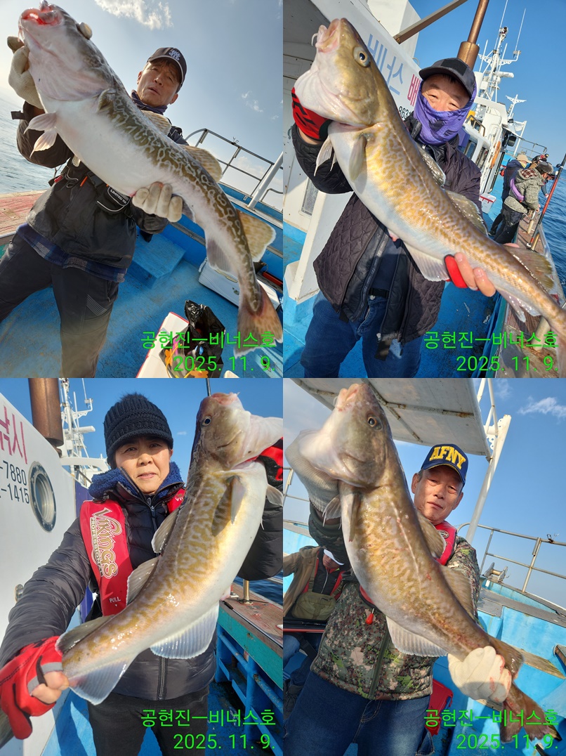 21인승 비너스호 왕대구 미터급조황