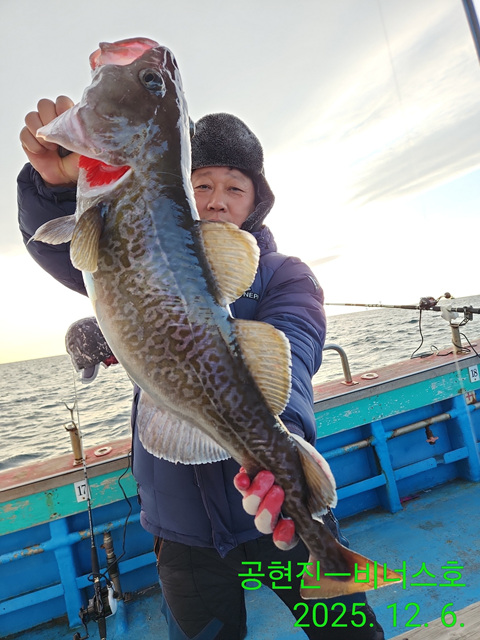 21인승 비너스호 왕대구조황